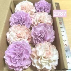솔라 플라워 2787