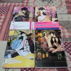 BL小説 まとめ売り セット 10冊 BLコミック 10冊 まとめ売り（1）【特典多種】 - メルカリ