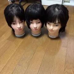 国試本番用カットウィッグ3体 国家試験 本番用 カットウィッグ3体 国家試験 練習用 カット