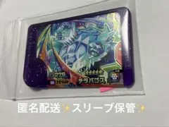 新品未使用✨ポケモンフレンダ　第五弾テラパゴス✨
