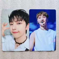 メテュ マシュー トレカ DVD FANCON IN JAPAN 封入 ゼベワン