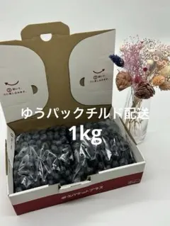 7/1 収穫予定　ブルーベリー　1キロ　チルド発送のサムネイル