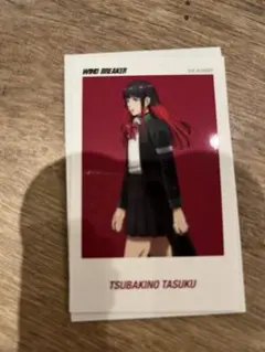 ウィンドブレーカー ベースヤード 椿野