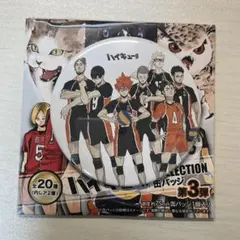 2025年最新】ハイキュー!!︎ コレクション缶バッジ 第3弾の人気