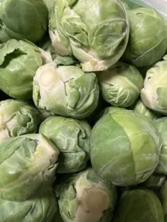 296芽キャベツ宅急便コンパクトにめいっぱい！静岡県菊川市産