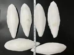 カトルボーン6枚　　カットルボーン　カルトボーン　スミイカ　コウイカのサムネイル