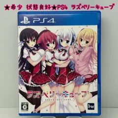 よしたかちゃん様 リクエスト 2点 まとめ商品