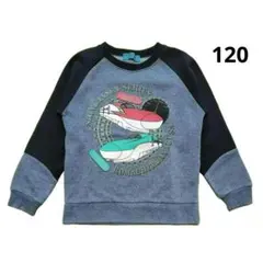 Item thumbnail for item c4069901-da54-4e4f-9ae4-926638ce9615