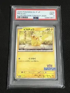 マン0490様専用【PSA9】ピカチュウ【PSA9】【PSA8】Nのゼクロム