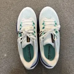 エアズームペガサス41サイズ27.0cm