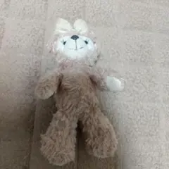 Item thumbnail for item 1c59b071-bbf2-43bb-b3c9-fafbb903bf05