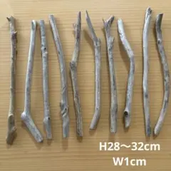 Item thumbnail for item 5b96826b-291c-4046-ac20-0b0a15de36dd