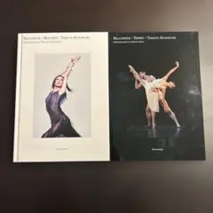 草刈民代 写真集 BALLERINE 2冊セット
