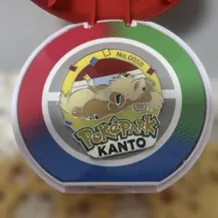 ポケパーク ガーディ ピンバッジ
