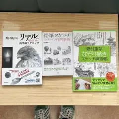 Item thumbnail for item c12ee57d-ff39-4dd9-95f9-427b7238fafa