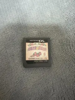 お姫さまデビュー DS ソフト