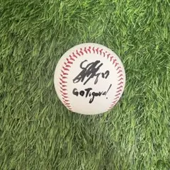 【阪神タイガース】 G ・ハートウィグ #82 直筆サインボール 優勝メンバー