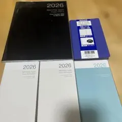 Item thumbnail for item 0a68cd38-d653-438f-bc13-714637a63936