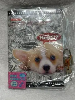 カミオジャパン カギ付 交換ノート 犬 実写 平成 レトロ