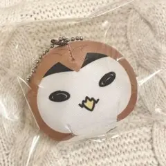 ハイキュー　赤葦京治　アカアシフクロウ　動物マスコット　ミニ　ビーズクッション