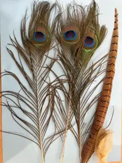 Item thumbnail for item c6b045f6-4f02-4bc7-82d1-db9b339b6153