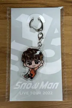 Snow Man 向井康二 すのチルぶら下がりシリーズ　アクリルキーホルダー