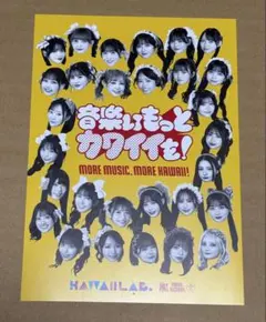 タワレコ フライヤー KAWAII LAB. FRUITS ZIPPER