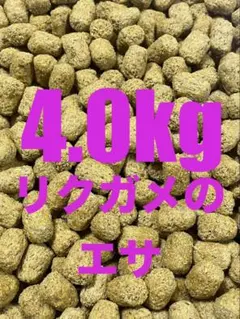 4kg マズリ　5m21 トータスダイエット　4000gのサムネイル