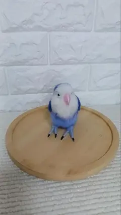 羊毛フェルト　コザクラインコ　手乗りサイズ　ハンドメイド　アート作品　インテリア
