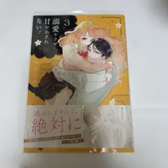 溺愛ヤクザには甘やかされない！ 平井るな 3巻 直筆サイン入りサイン本