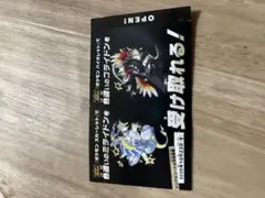 ポケモン色違いミライドンコライドンシリアルコード