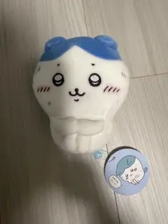 ハチワレ
