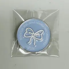 SEVENTEEN ジュン JUN PINS YAKUSOKU - メルカリ