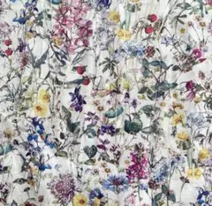 Item thumbnail for item e36d7e73-a3cb-4bdc-b3bb-9be43b007b4d