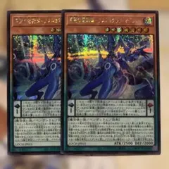 遊戯王デュエルモンスターズ　LOCH　星霜の魔術師−アストログラフ・マジシャン
