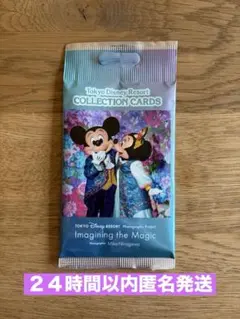 新品　イマジニングザマジック　コレクションカード　ディズニー　ＦＳ