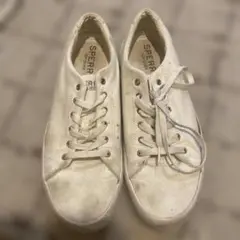 SPERRYメンズ スニーカー