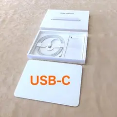 ほぼ未使用｜USB-C｜最新｜Magic Trackpad｜A3120｜アップル