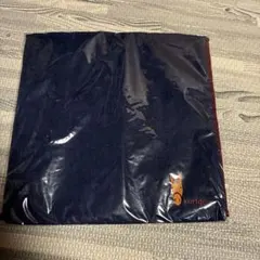 新品未使用★競馬　JRA ハンカチタオル 2枚セット　芦毛　栗毛