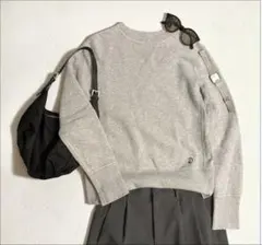 DRESSTERIOR 吊り裏毛　トレーナー　ドレステリア　サイズ2 日本製