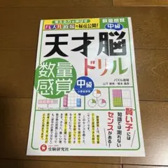 Item thumbnail for item d42abf9c-3ff5-42db-ba8d-7994fa47a3b9