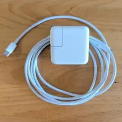 Apple 30W USB-C電源アダプタ ＋Apple USB-Cケーブル2m