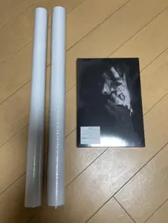 サンディ・キム写真集: SANDY KIM: INTO THE LIGHT - メルカリ