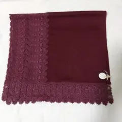 豪華なレースがついたショール