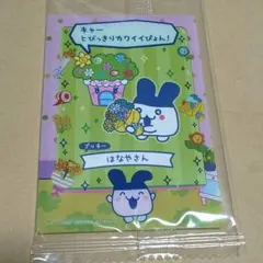 たまごっちのプチプチおみせっちしり〜ず カード&フレーム みみっち　はなやさん