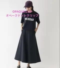 Item thumbnail for item 120d78d3-aeae-49ae-8b46-1165b947de6a