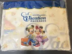 新品未使用　東京ディズニーリゾート バケーションパッケージ　マルチガーゼケット
