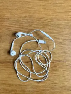 【新品未使用】Apple純正 イヤホン ライトニング 正規品