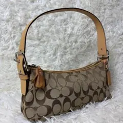 ✨美品✨ COACH コーチ アクセサリーポーチ ハンドバッグ 6371