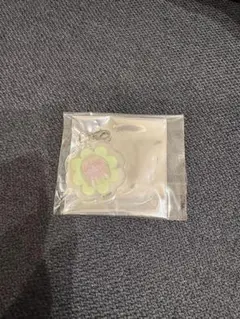 2026年最新】大場花菜 ペンライトチャームの人気アイテム - メルカリ